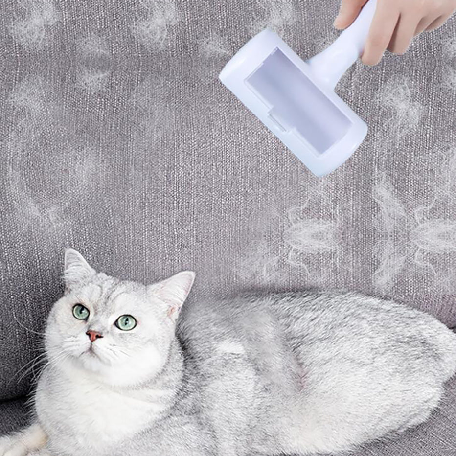 Pet Hair Remover Sticky Brush.